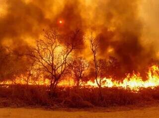 Vegetação tomada pelo fogo no pior ano de queimadas até hoje, em 2020. (Foto: Ascom/PrevFogo) 