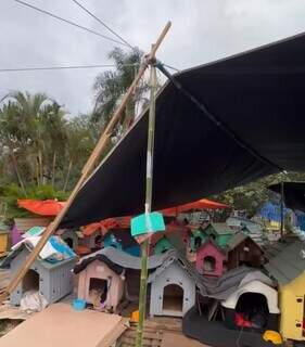 Um dos abrigos improvisados no Rio Grande do Sul (Foto: Divulgação) 