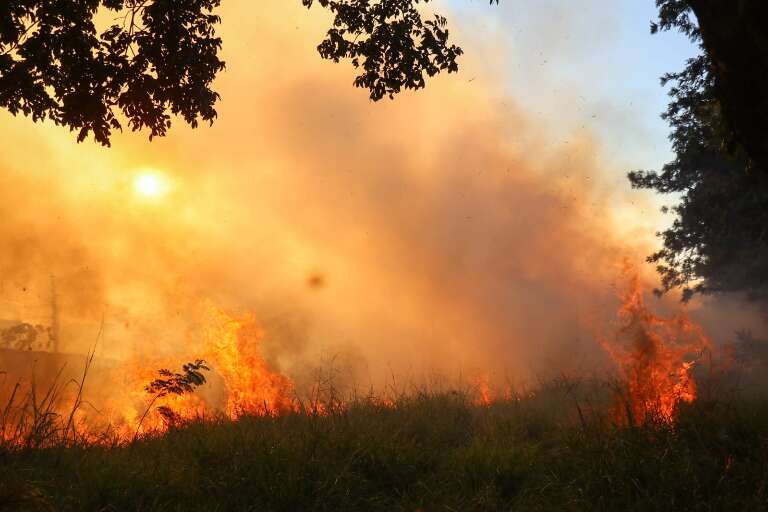 Área verde de terreno do cemitério, na Moreninha III, é consumido pelo fogo (Foto: Henrique Kawaminami).