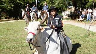 Cavalgada do CLC também teve boi para participar de percurso (Foto: Alex Machado) 