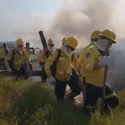 No Pantanal, brigadista enfrentam fogo até dentro de área alagada