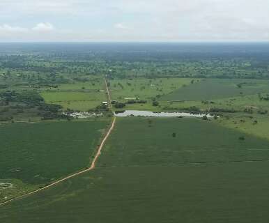 MS contrata temporários para se adequar à Lei do Pantanal