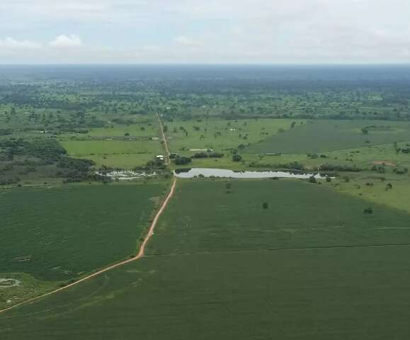 MS contrata tempor&aacute;rios para se adequar &agrave; Lei do Pantanal