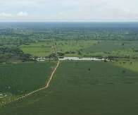 MS contrata temporários para se adequar à Lei do Pantanal