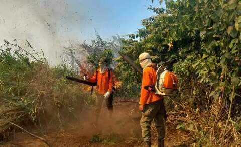 ONG cruza dados sobre Pantanal e anuncia risco de nova tragédia 