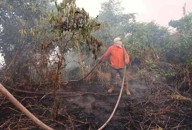 Ap&oacute;s avan&ccedil;o da estiagem e fogo, MS suspende queima controlada 