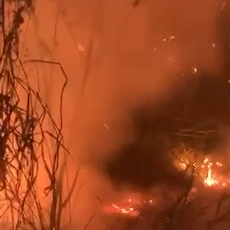Incêndio em terreno baldio deixa o céu "laranja" e assusta vizinhos no Noroeste