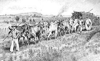 Ilustração sobre a chegada da comitiva de José Antônio em Campo Grande.