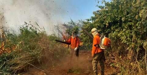 Cerca de 20 fazendas do Pantanal foram incendiadas em um mês 