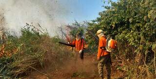 Bombeiros apagando incêndio em área do Pantanal em Mato Grosso do Sul (Foto: Instituto Homem Pantaneiro)