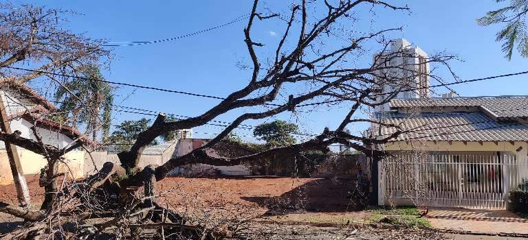 Campo Grande News