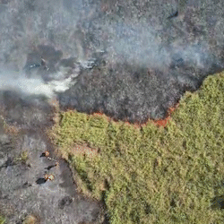 Pantanal tem cinco incêndios ativos; mais preocupante entra na 3ª semana