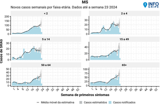 Grafico mostra crescimento semanal de casos de SRAG, por idade (Foto: Divulgação Fiocruz)