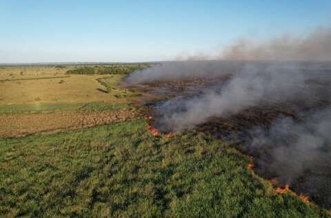 Efeito dos incêndios no Pantanal é tema de seminário na UFMS