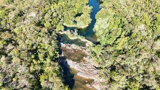 Mais um trecho afetado de afluente do rio. (Foto: Divulgação/IHP)