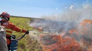 Incêndio florestal na Nhecolândia, em Corumbá (Foto: Divulgação/Corpo de Bombeiros Militar de Mato Grosso do Sul)