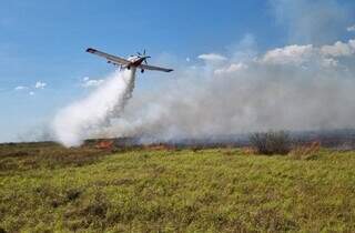 Uso da aeronave air tractor para lançar água em vegetação incendiada (Foto: Divulgação/Corpo de Bombeiros Militar de Mato Grosso do Sul)