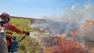 Corpo de Bombeiros atuando em combate a incêndio florestal no Pantanal (Foto: CBMMS)