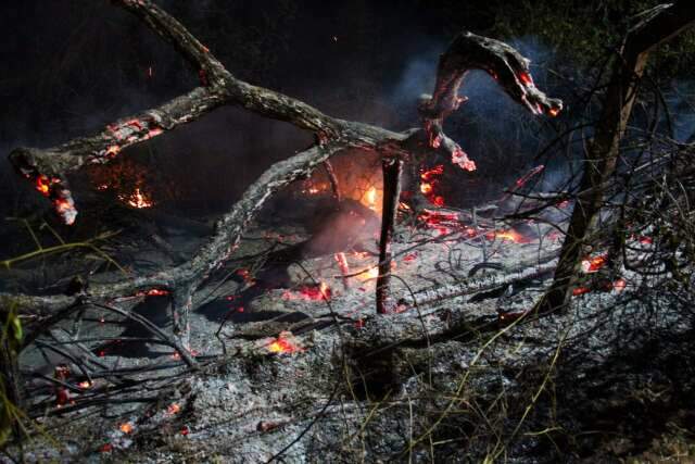 Bombeiros tentam apagar fogo desde &agrave;s 14h em terreno no Villas Boas