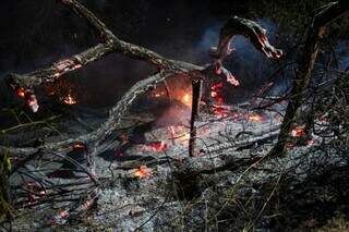 Terreno no Villas Boas em chamas (Foto: Juliano Almeida)