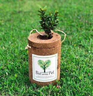 A Bio Urna é um dos modelos disponíveis, para plantarem as cinzas junto com a sementinha e virar uma planta eternizando seu animal de estimação. (Foto: Divulgação)