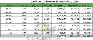 Infográfico mostra as condições das lavouras de milho em Mato Grosso do Sul