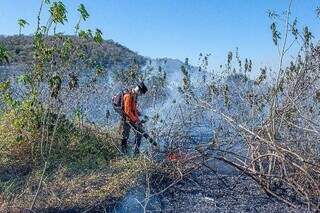 Pantanal, em Corumbá, é um dos biomas afetados por incêndios em MS. (Foto: Gustavo Figueirôa/SOS Pantanal)