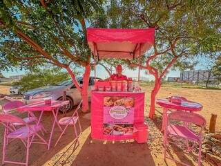 Barraquinha, mesas, cadeiras foram personalizados na cor favorita da salgadeira. (Foto: Marcos Maluf)