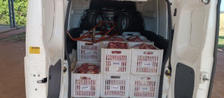 Carne era transportada de forma inadequada (Foto: divulgação / PRF)) 