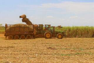 Máquina opera na colheita de cana em lavoura na região de Novas Alvorada do Sul, em MS. (Foto: Arquivo/Governo MS)