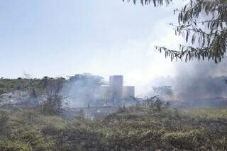 Chácara ao lado da fábrica foi tomada pelo fogo no final desta manhã (Foto: Paulo Francis)