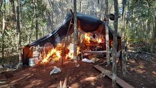 Acampamento narco usado para processar maconha é queimado na fronteira (Foto: Divulgação)