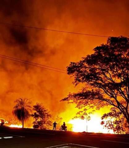 Inc&ecirc;ndio de grandes propor&ccedil;&otilde;es atinge vegeta&ccedil;&atilde;o &agrave;s margens da BR-376