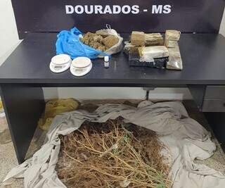 Tabletes e galhos de maconha encontrados na casa de advogado (Foto: Divulgação)