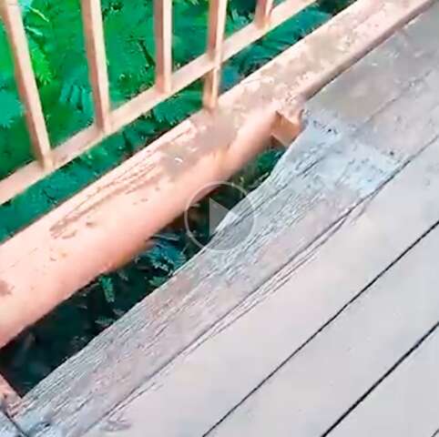 Moradores reclamam de passarela de madeira danificada no Jardim Nova Esperan&ccedil;a 