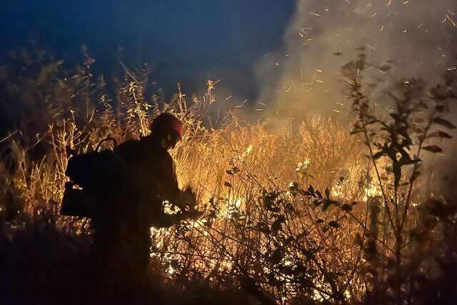 No 1&deg; dia de inverno, fogo no Pantanal ultrapassa ano de queimadas hist&oacute;ricas