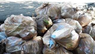Sacolas com lixo retirados do Lago do Amor neste sábado (22) (Foto: Alex Machado)