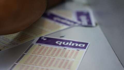 Em dia da Quina de São João, Loterias Online da Caixa apresentam instabilidade