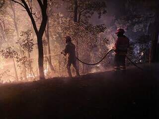 Homens do Corpo de Bombeiros combatendo incêndio no Pantanal, na noite de sábado (Foto: Divulgação/Corpo de Bombeiros)
