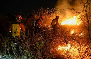 Brigadistas tentam controlar as chamas no Pantanal. (Foto: Reprodução/Governo do Estado)