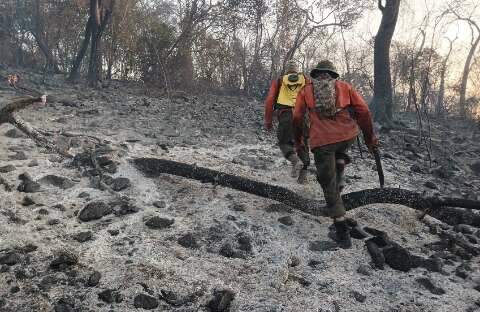 Homem, seca e fazendas inativas: velhos problemas do novo “Pantanal em cinzas”