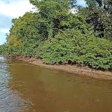 Baixa vazão de hidrelétrica muda cenário de rios afluentes do Paraná em MS