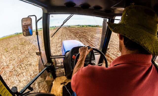 Para Embrapa, 43% das pequenas propriedades de MS se dedicam ao plantio de soja