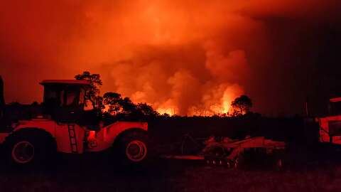 Governo lançará balanços semanais dos incêndios no Pantanal