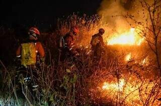 Brigadistas tentam controlar as chamas no Pantanal (Foto: Reprodução/Governo do Estado)