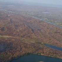 Vídeo aéreo mostra transição entre Pantanal alagado e incendiado