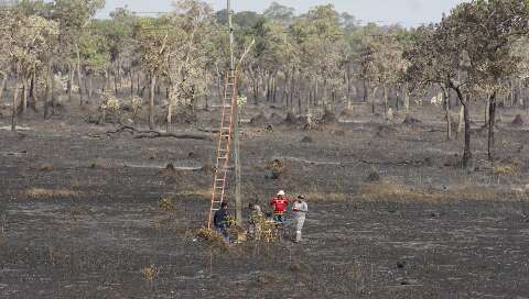 Área queimada do Pantanal pode exceder 2 milhões de hectares até o fim do ano