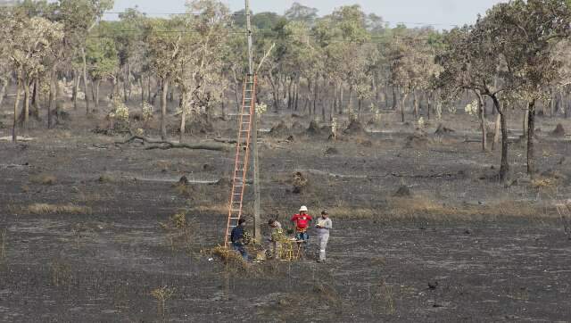 &Aacute;rea queimada do Pantanal pode exceder 2 milh&otilde;es de hectares at&eacute; o fim do ano