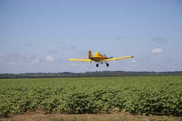 Kemp pede maior rigor nas normas de pulveriza&ccedil;&atilde;o a&eacute;rea ao Governo Federal