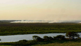 Fumaça de queimada em vegetação, no Pantanal de Corumbá. (Foto: Alex Machado)
